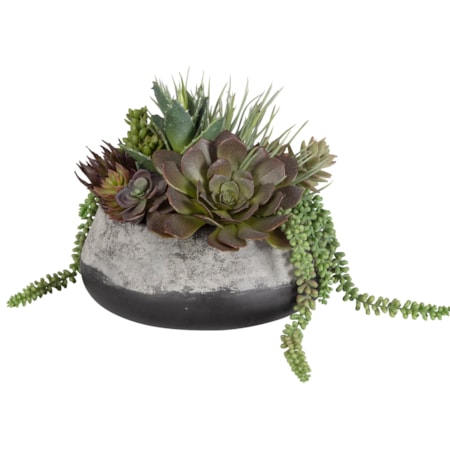 Yuma Succulent Centerpiece