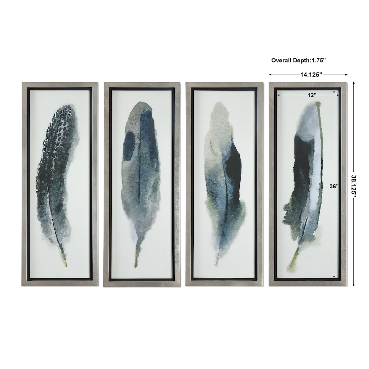 Uttermost Framed Prints Feathered Beauty Prints, S/4