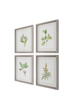 Uttermost Wildflower Study Wildflower Study Framed Prints, S/4