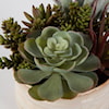 Uttermost Mesa Succulent Mesa Succulent Accent