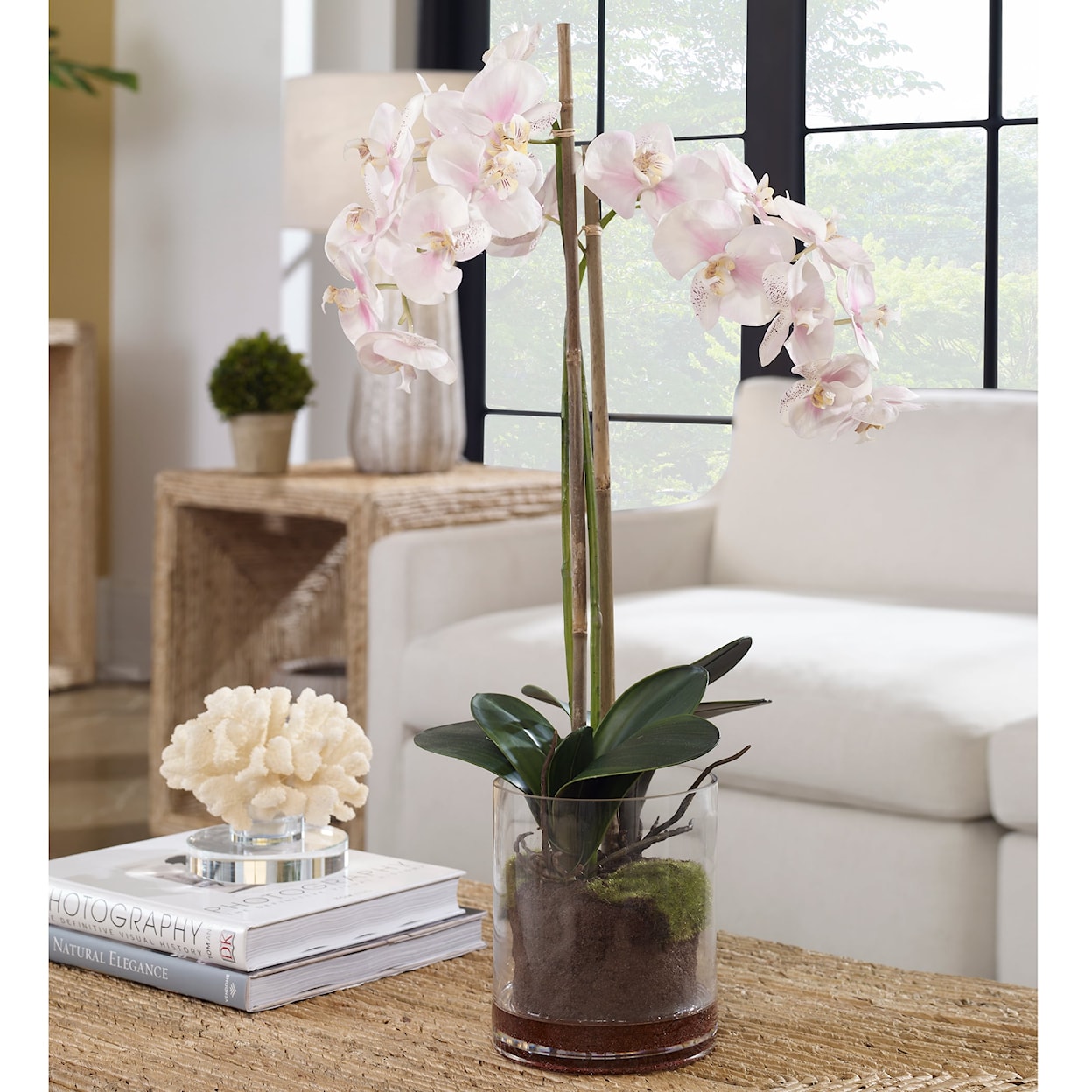 Uttermost Blush Orchid Blush Pink And White Orchid