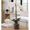 Uttermost Blush Orchid Blush Pink And White Orchid