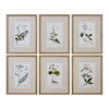 Uttermost Framed Prints Green Floral Botanical Study (Set of 6)