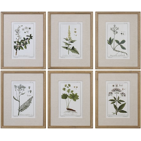 Green Floral Botanical Study (Set of 6)