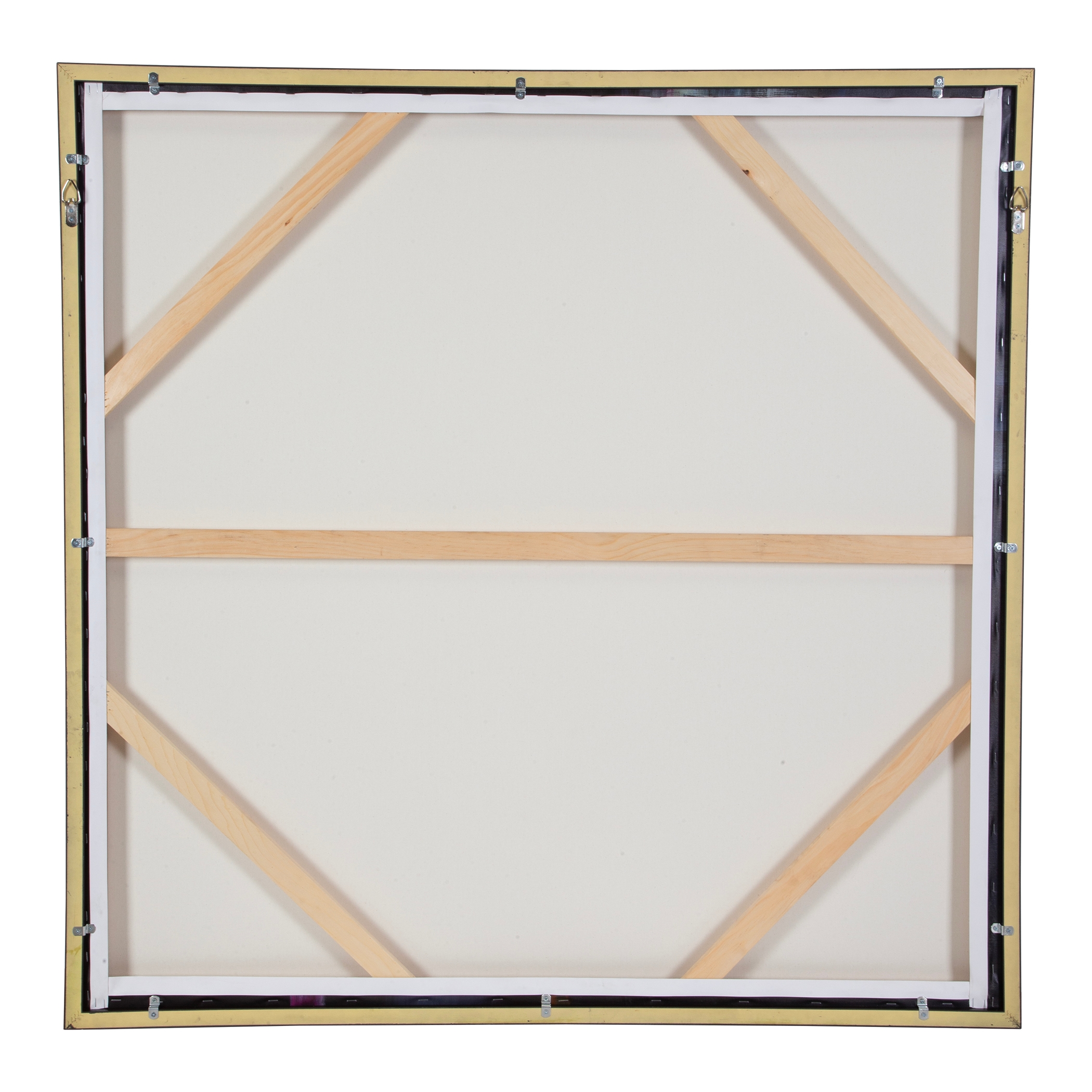 Uttermost Peony Peony Framed Floral Art