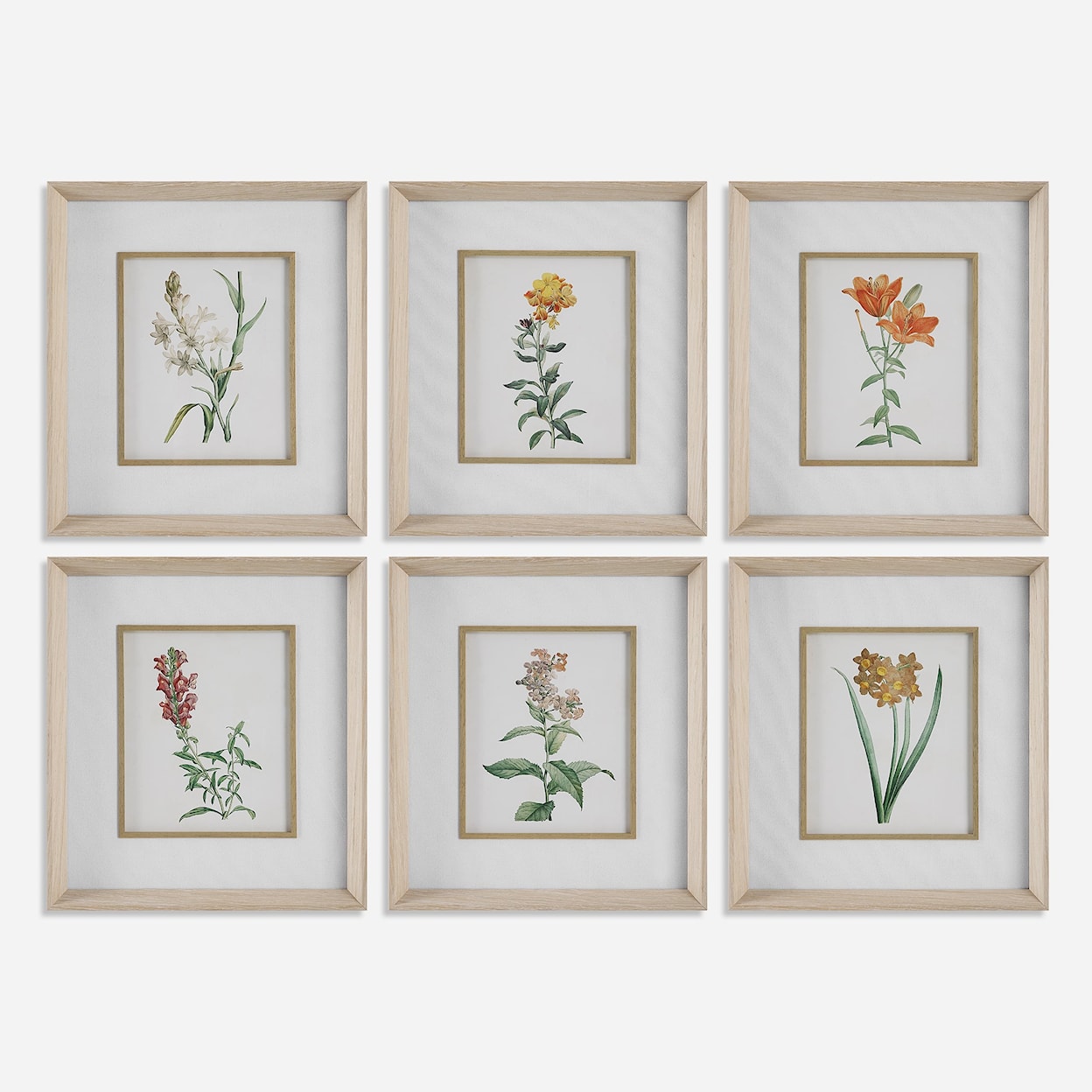 Uttermost Classic Botanicals Classic Botanicals Framed Prints Set/6
