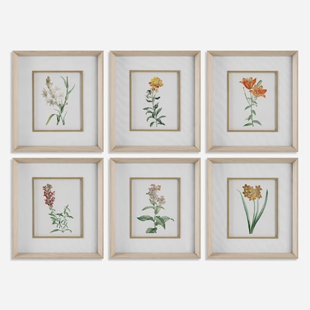 Classic Botanicals Framed Prints Set/6