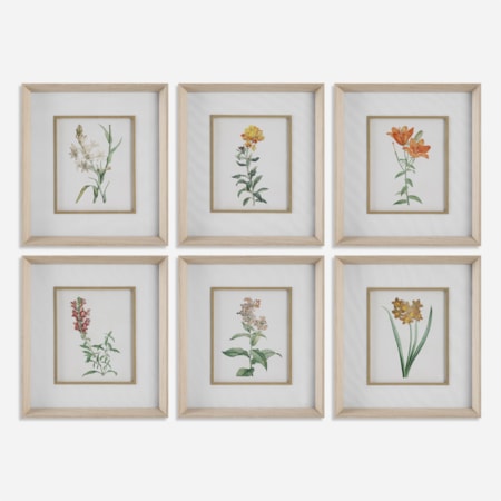 Classic Botanicals Framed Prints Set/6