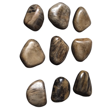 Pebbles Walnut Wood Wall Décor S/9