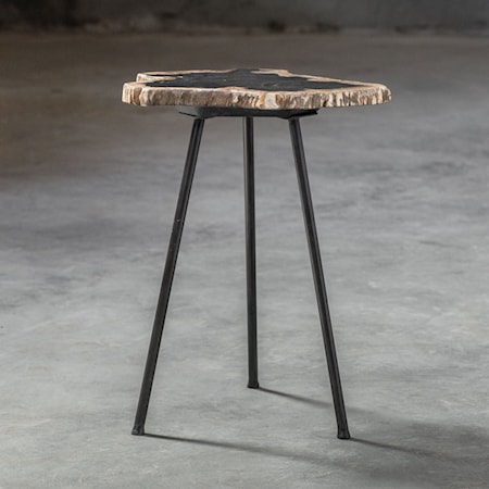 Mircea Petrified Wood Accent Table