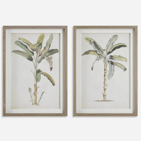 Banana Palm Framed Prints Set/2