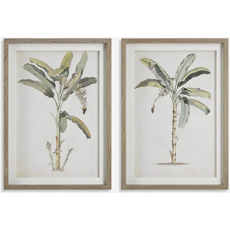 Banana Palm Framed Prints Set/2