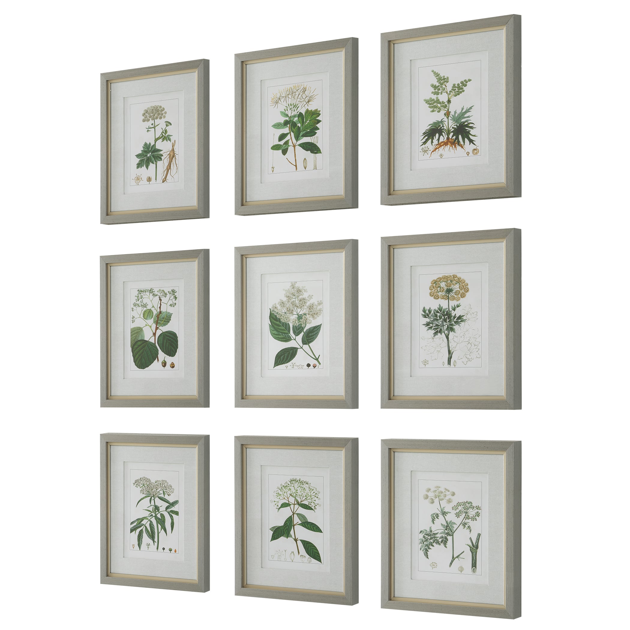 Antique Botanicals Framed Prints, Set of 9