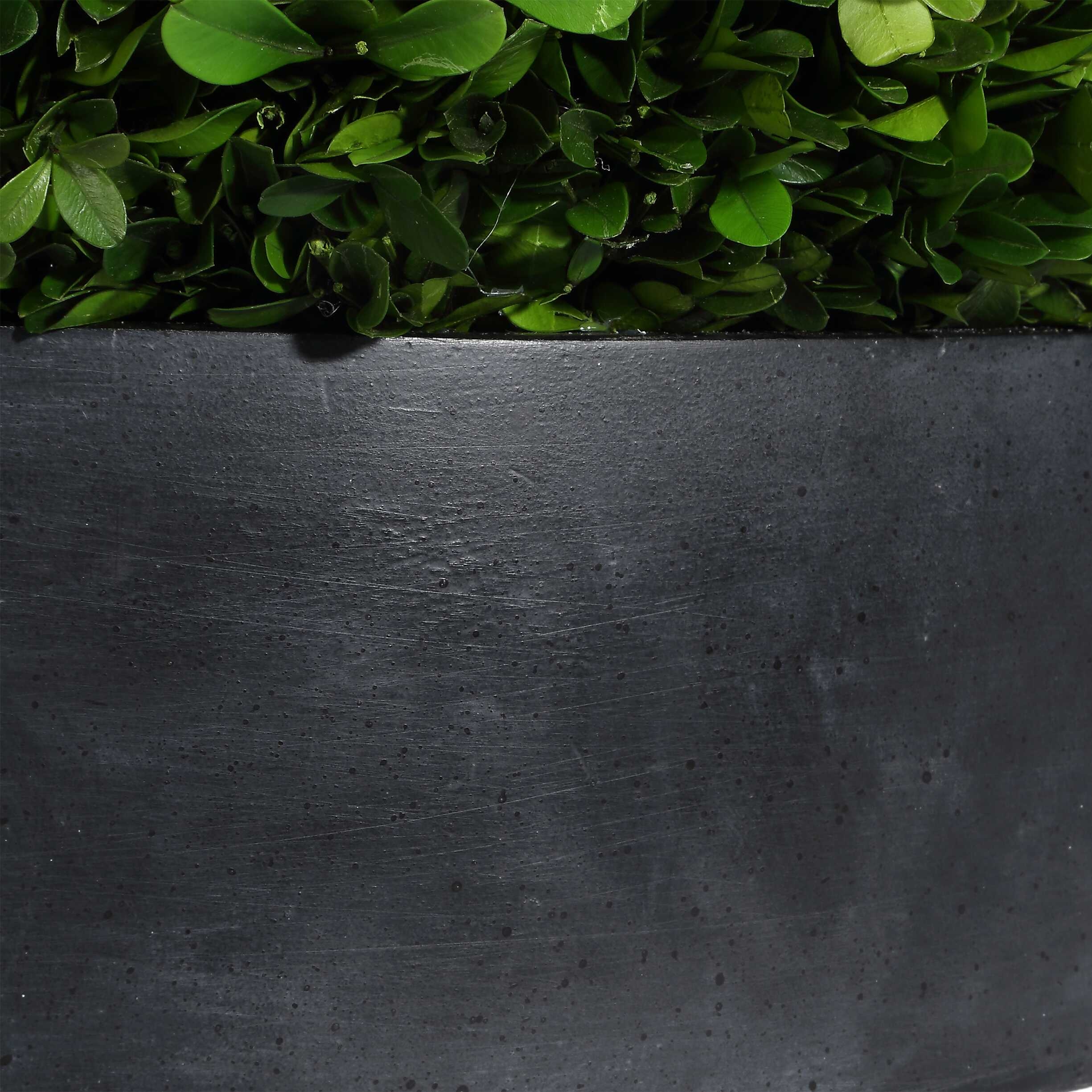 Uttermost Verdana Verdana Boxwood Centerpiece In Bowl