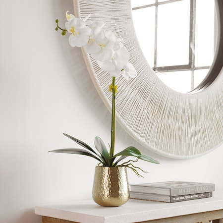 Cami Orchid With Brass Pot