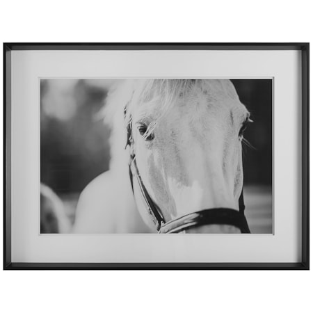 Eyes On The Prize Framed Print