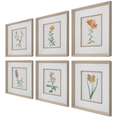 Classic Botanicals Framed Prints Set/6