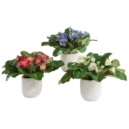 Trilogy Primrose Accents In Vases