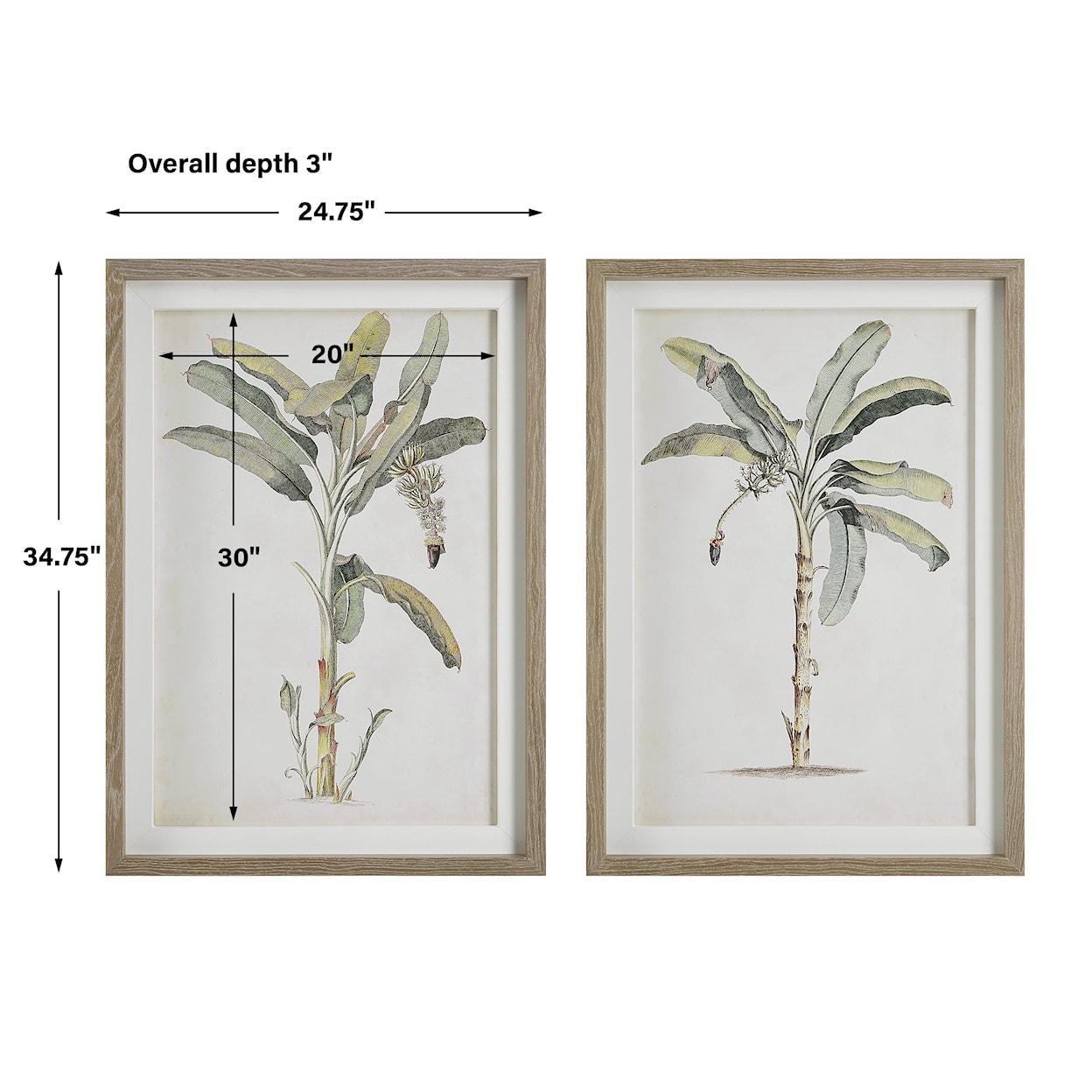 Uttermost Banana Palm Banana Palm Framed Prints Set/2