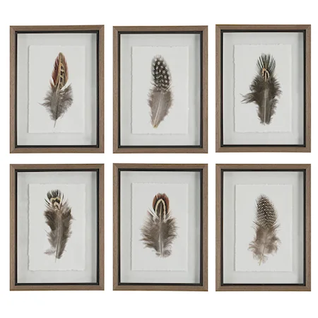Contemporary Feather Framed Prints- Set of 6