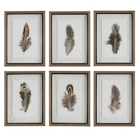 Contemporary Feather Framed Prints- Set of 6