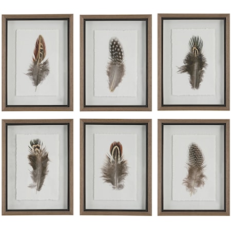 Birds Of A Feather Framed Prints S/6