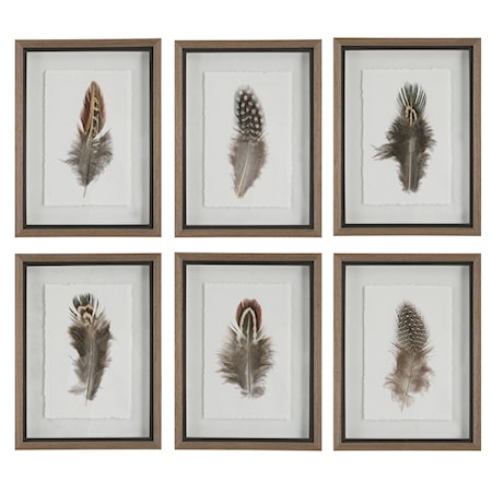 Birds Of A Feather Framed Prints S/6