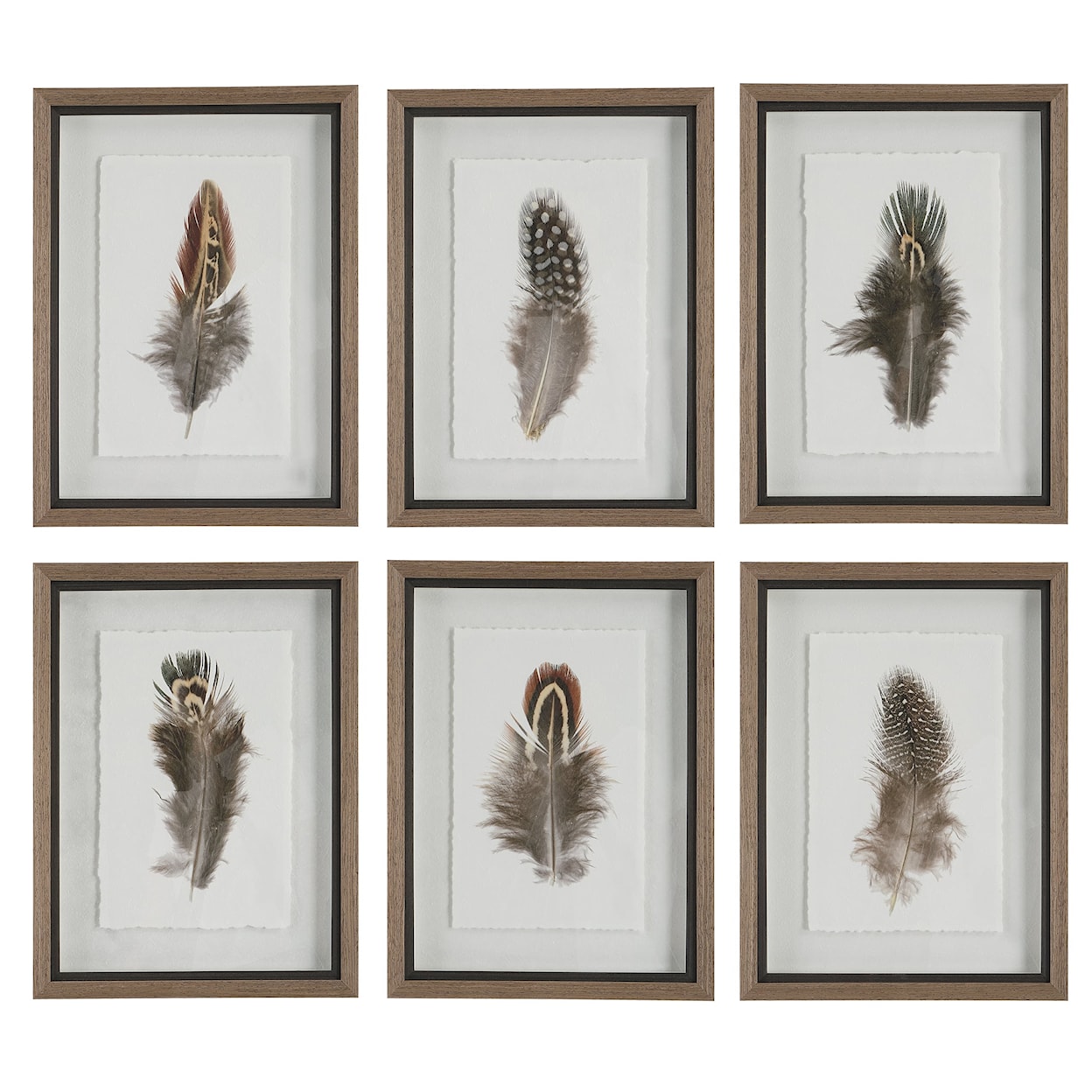 Uttermost Birds Of A Feather Birds Of A Feather Framed Prints S/6