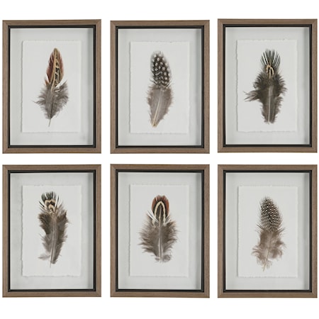 Birds Of A Feather Framed Prints, S/6