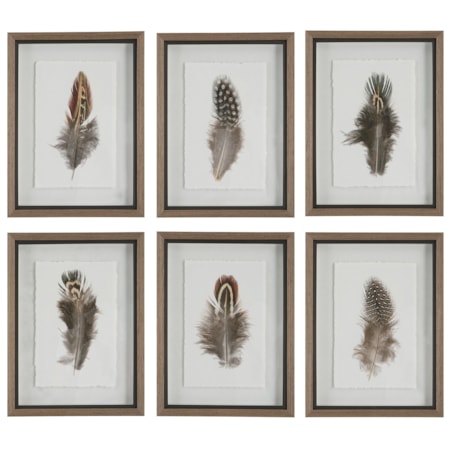 Birds Of A Feather Framed Prints S/6