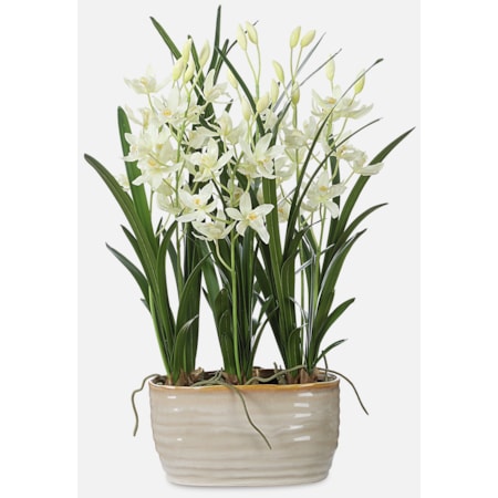 Ariana Orchid Planter