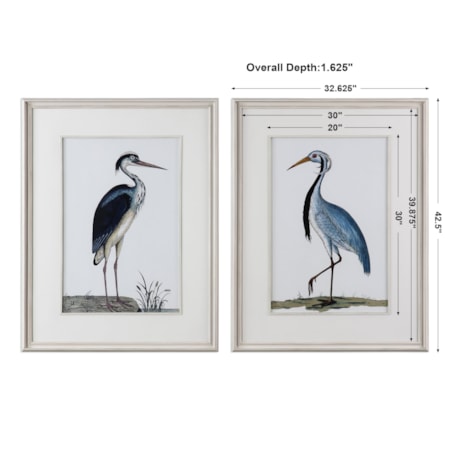 Shore Birds Framed Prints Set of 2