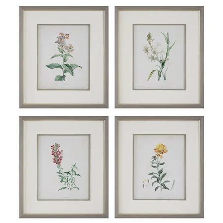 Heirloom Blooms Study Framed Prints Set/4