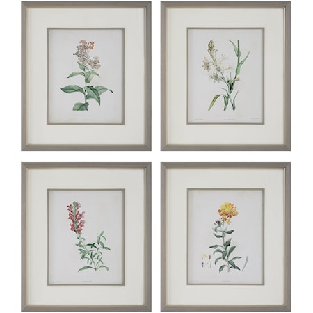Heirloom Blooms Study Framed Prints Set/4