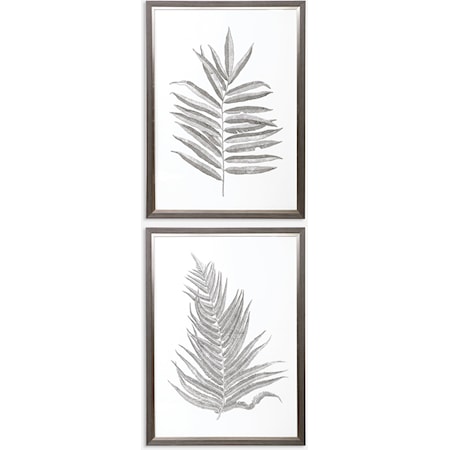 Silver Ferns Framed Prints, S/2