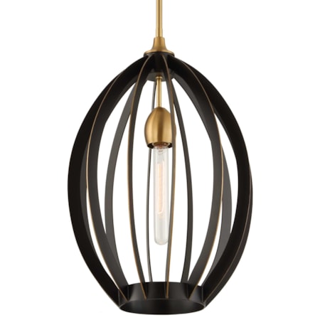 Darby 1 Light Architectural Oval Pendant