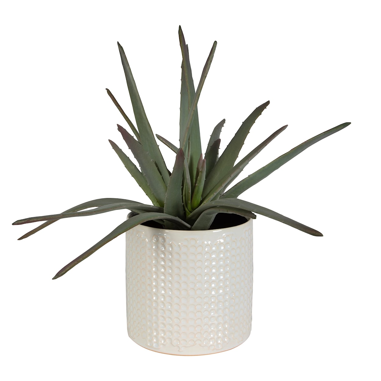 Uttermost Taos Taos Aloe Centerpiece