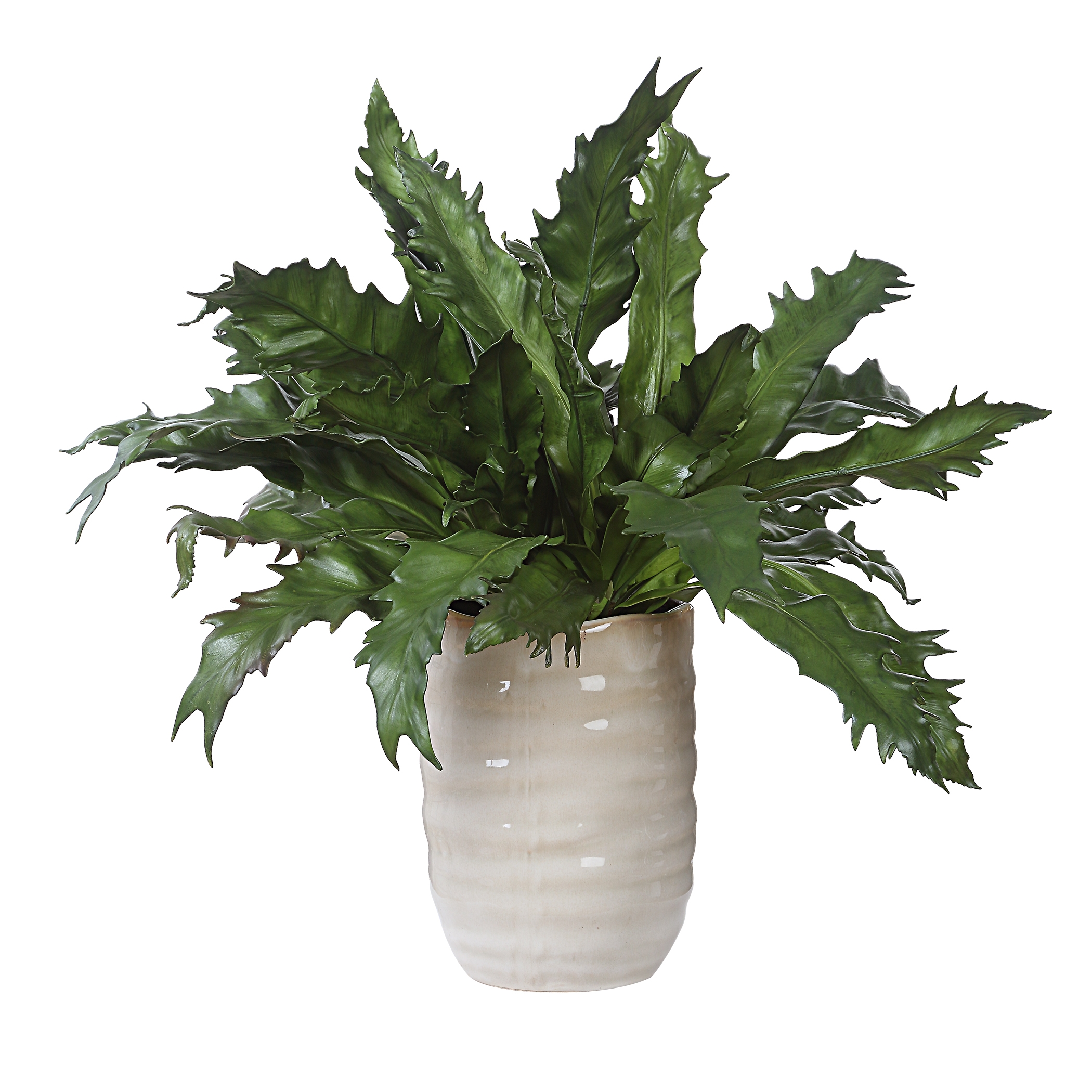 Verdure Fern In Glazed Pot