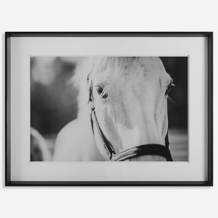 Eyes On The Prize Framed Print