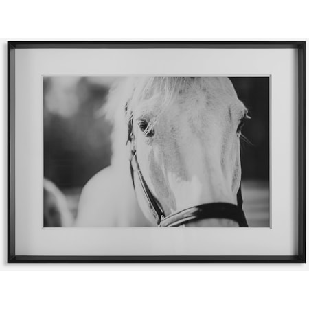 Eyes On The Prize Framed Print
