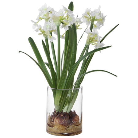 Lacey Daffodil Accent Arrangement