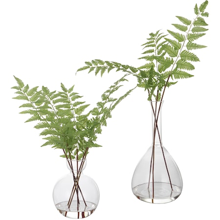 Country Ferns with Glass Vases- Set of 2
