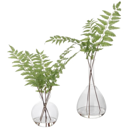 Country Ferns with Glass Vases- Set of 2