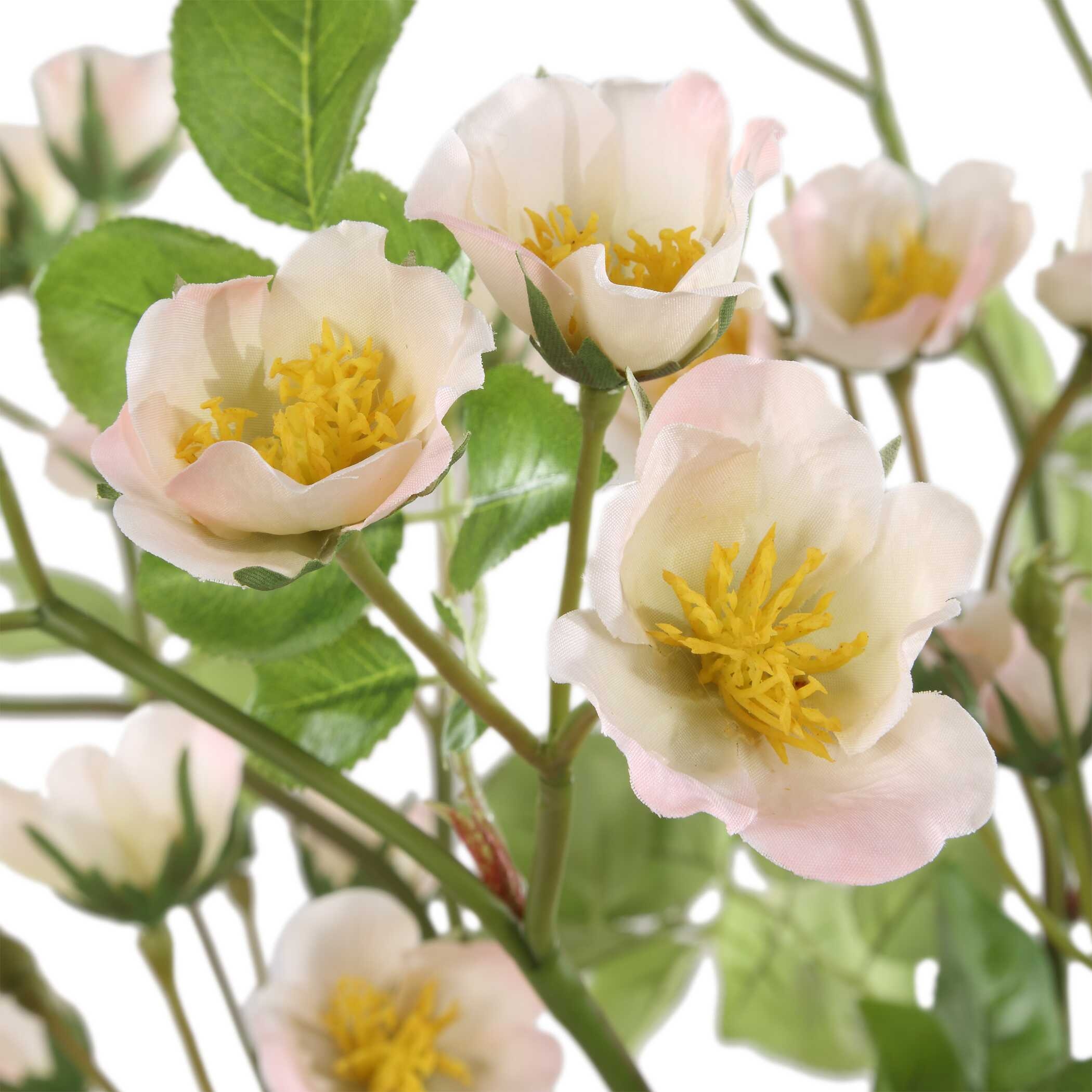 Tranquility Lenten Rose Bouquets