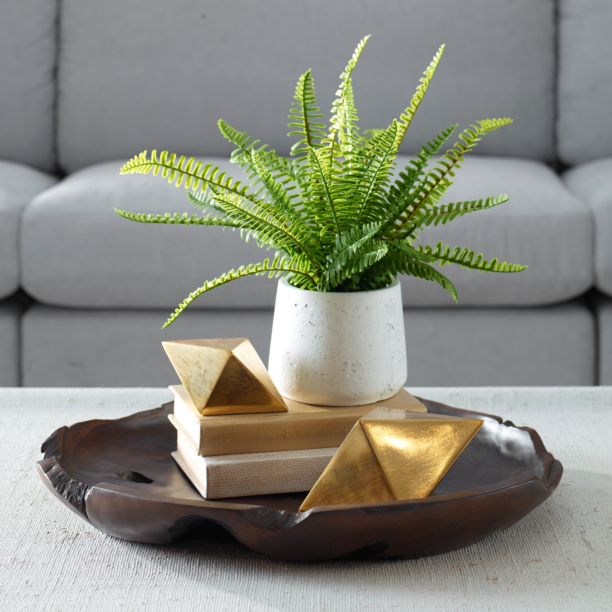 Uttermost Boston Fern Boston Fern In White Ceramic Pot