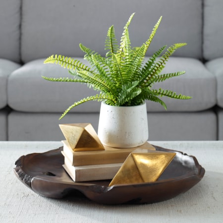 Boston Fern In White Ceramic Pot