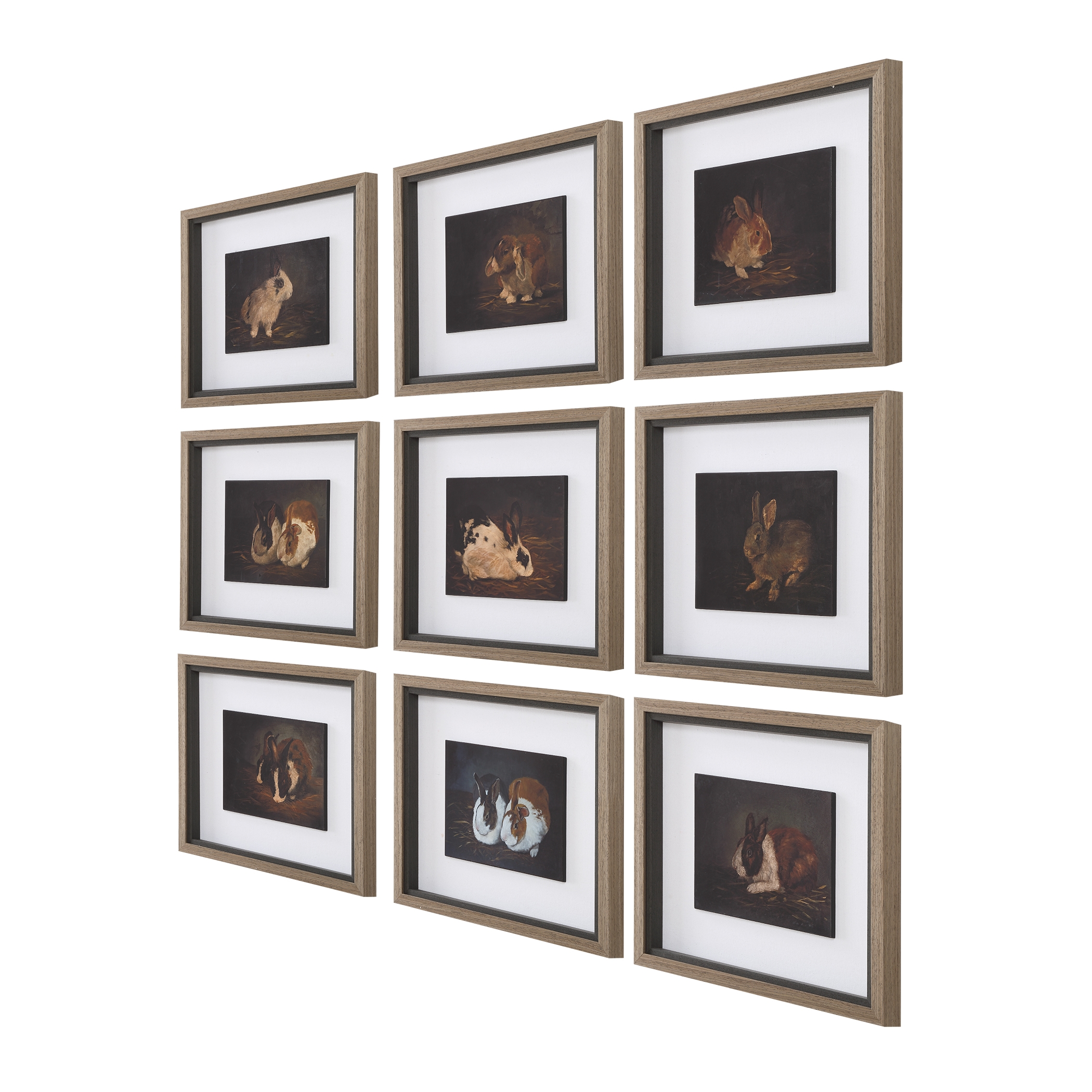 Resting Bunny Framed Prints Set/9