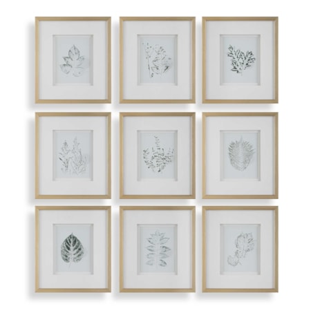 Nature's Script Framed Botanical Prints