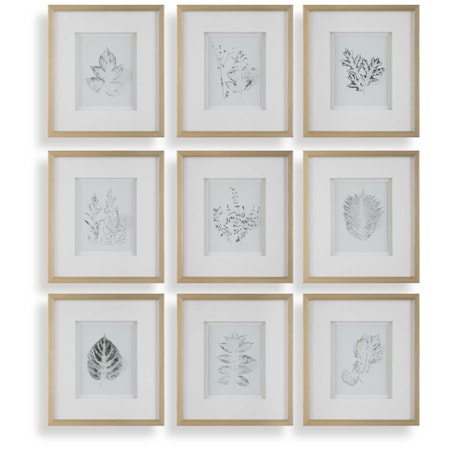 Nature's Script Framed Botanical Prints