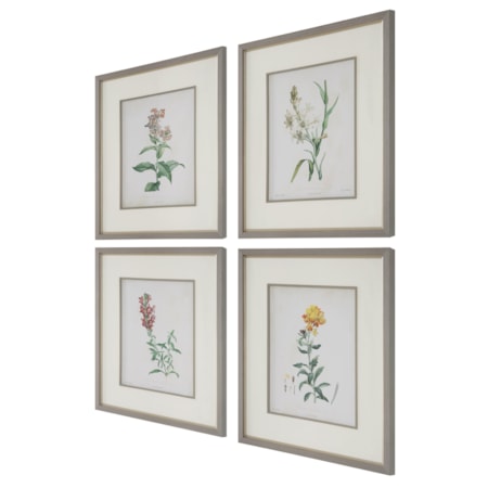 Heirloom Blooms Study Framed Prints Set/4